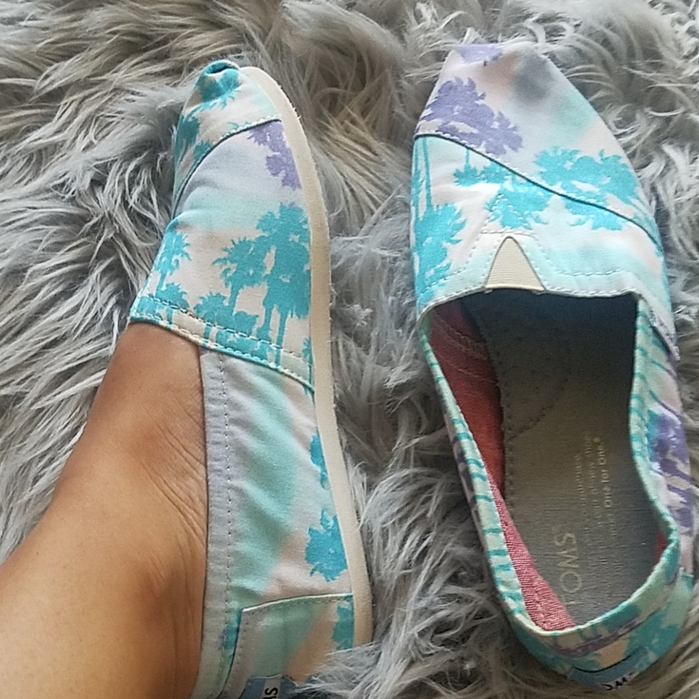 Palm tree toms